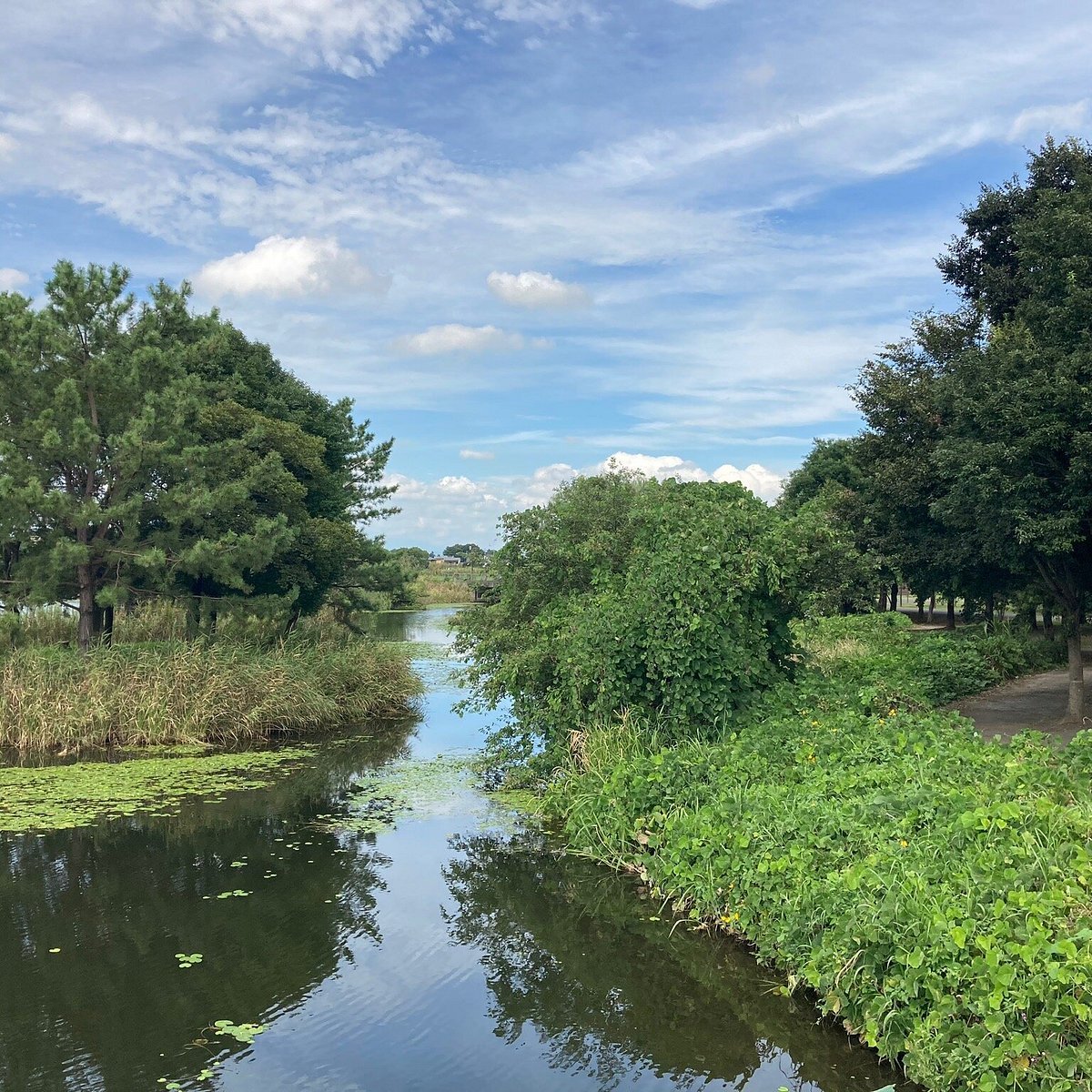 🏞️ 하뉴 수향 공원 이미지 1